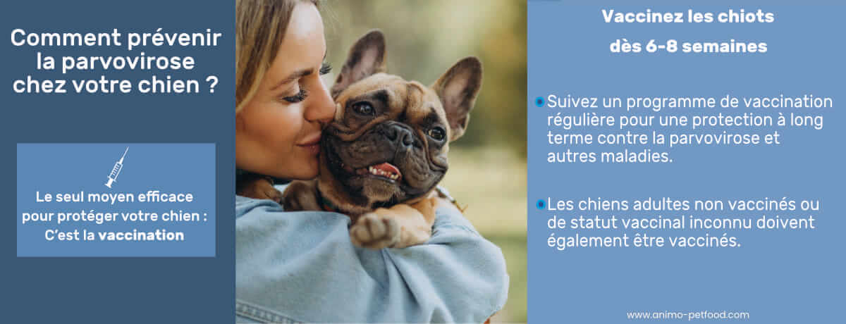 comment-prevenir-la-parvovirose-chez-votre-chien